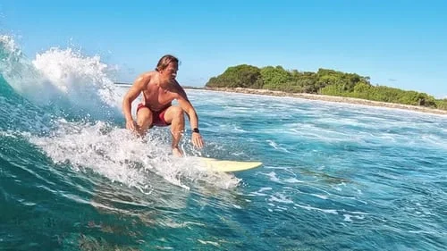 ng体育 - 热带海域冲浪